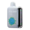 Geek Bar Pulse Miami Mint 9000 Puffs