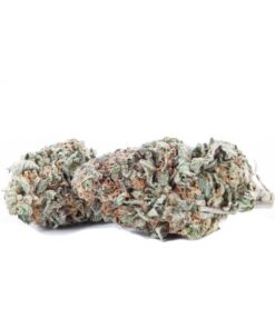 Gelato Hybrid Marijuana Strain