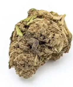 Ghost Train Haze Marijuana Strain with vibrant green buds and orange hairs