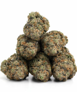 Ghost Train Haze Weed Strain Hobart