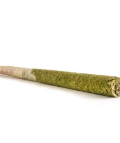 God’s Green Crack Cannabis Pre-Rolled Joint