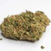 Golden Goat Hybrid Flower cannabis strain