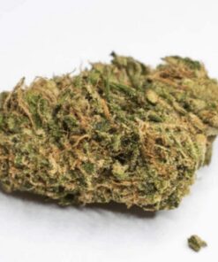 Golden Goat Hybrid Flower cannabis strain