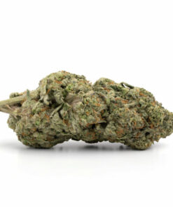 Golden Pineapple Cannabis Strain Queanbeyan