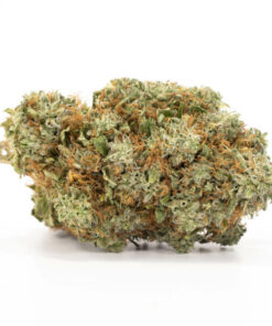 Grape Stomper Cannabis Strain Darwin