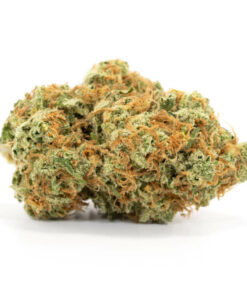 Grapefruit Sativa Marijuana Strain Ballarat