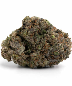Greasy Pink Weed Strain - Premium Indica Cannabis