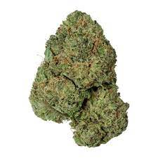 Great White Shark Cannabis Strain Newcastle