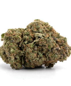 Green Crack Marijuana Strain Darwin