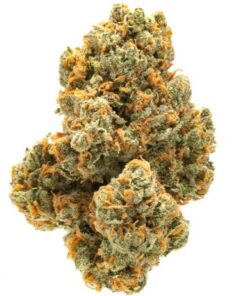 Green Crack Sativa Strain cannabis product