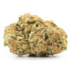 Green Goblin Weed Strain Ballarat with forest green buds and rusty orange hairs