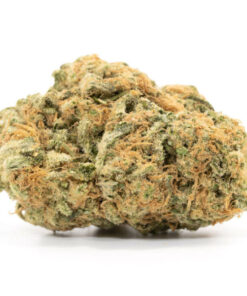 Green Goblin Weed Strain Ballarat with forest green buds and rusty orange hairs