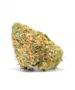 Harlequin Sativa Weed Strain