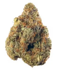 Hindu Kush Marijuana Flower with dense buds and earthy aroma