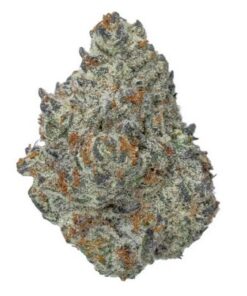 Ice Cream Cake Marijuana Strain