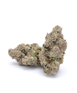 Ice cream Hybrid strain with sweet and creamy aroma