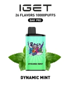 IGET Bar Pro 10000 Puffs Dynamic Mint Disposable Vape