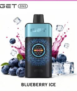 IGET One 12000 Puffs Blackberry Ice disposable vape device