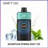 IGET One 12000 Puffs Mountain Spring Mint Ice disposable vape