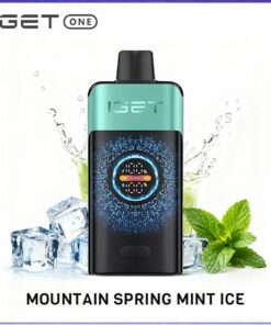 IGET One 12000 Puffs Mountain Spring Mint Ice disposable vape