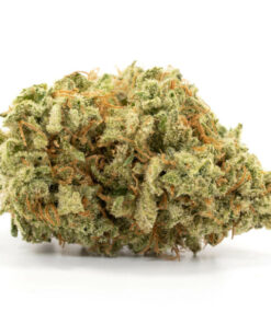 Island Sweet Skunk Weed Strain