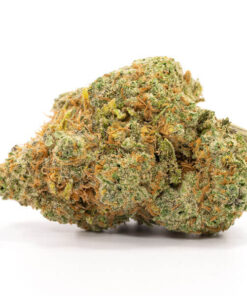 Jack Frost Marijuana Strain Newcastle
