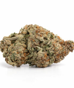 Jamaican Haze Weed Strain Hobart