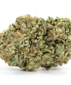 Jedi Indica Kush strain with dense resinous buds