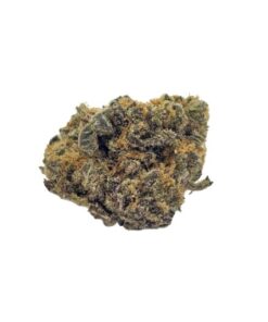 Jet Fuel Weed Strain Darwin - Sativa Dominant hybrid cannabis