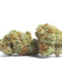 Jilly Bean Hybrid Marijuana Buds