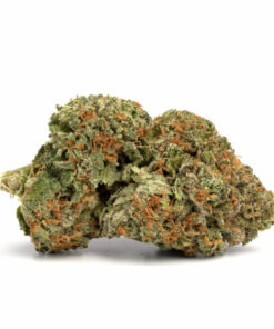 Kosher Kush Indica Strain Queanbeyan