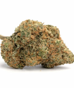 Larry Bird Cannabis Strain Newcastle