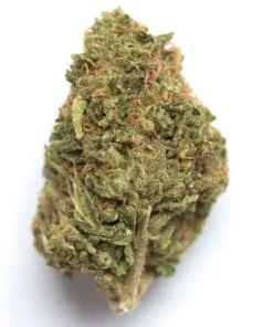 Lemon Kush Marijuana - Hybrid strain with refreshing citrus aroma