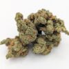 LSD Hybrid Marijuana Strain