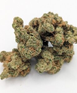 LSD Hybrid Marijuana Strain