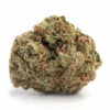 Mango Haze Weed Strain