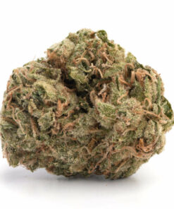 Mango Haze Weed Strain