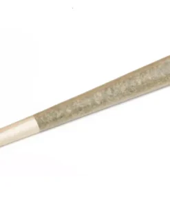 Marijuana Girl Scout Cookies Pre Rolls – 1.4 g