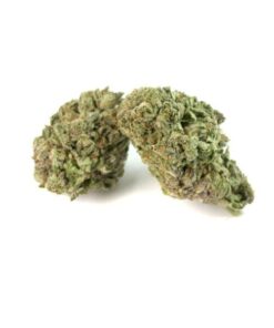 Master Kush Marijuana Strain Geelong