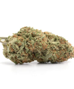 Maui Wowie Cannabis Strain