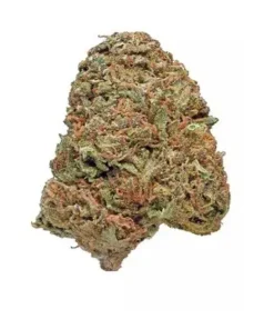 Maui Wowie Marijuana Strain
