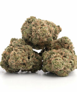 Meat Breath Weed Strain Hobart
