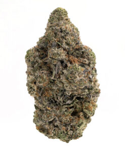 Mike Tyson Cannabis Strain Gold Coast