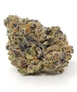 Mimosa Marijuana Buds AU - vibrant green buds with orange pistils