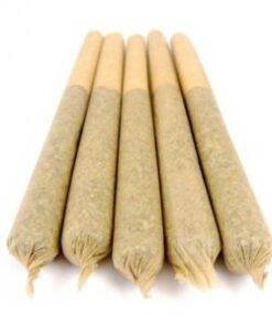 Miracle Alien Cookies (AAAA) Weed Pre-rolled Joint product image