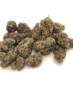 Mixed buds Marijuana Strain Darwin