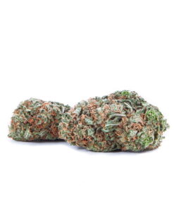 Nebula Hybrid Weed Strain with high THC content and sweet honey aroma