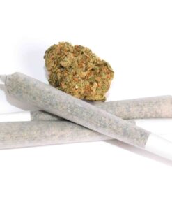 New York Power Diesel Cannabis Pre-Roll Joint – 1.4g