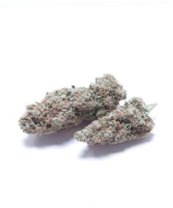 Northern Lights Indica Strain Armidale