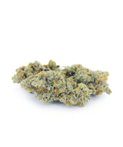 Oishii Hybrid Cannabis Strain